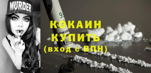 дурь Лабытнанги