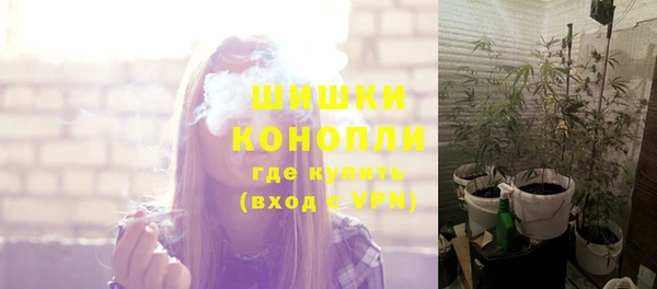 амф Кулебаки