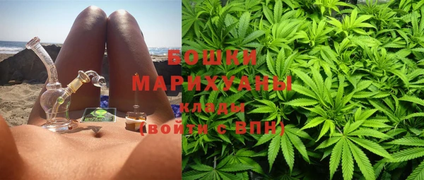 трава Куйбышев