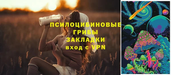 амф Кулебаки