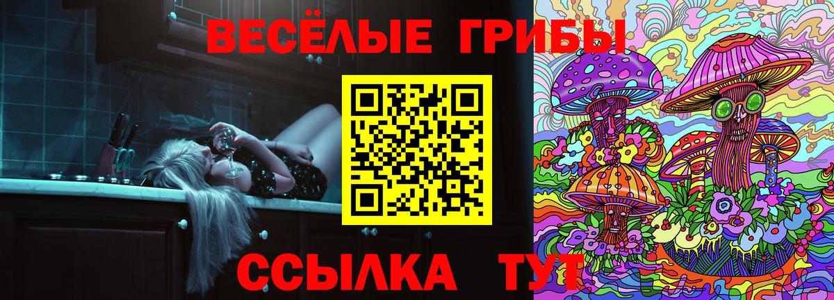 Симферополь  Псилоцибиновые грибы Cubensis  Вход с VPN 