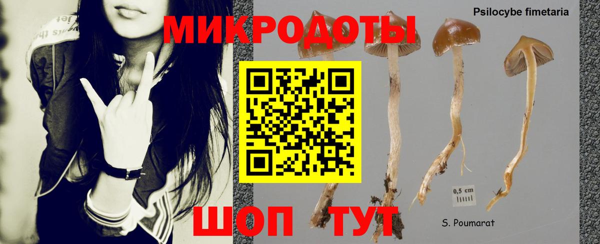 Галлюциногенные грибы мицелий Симферополь
